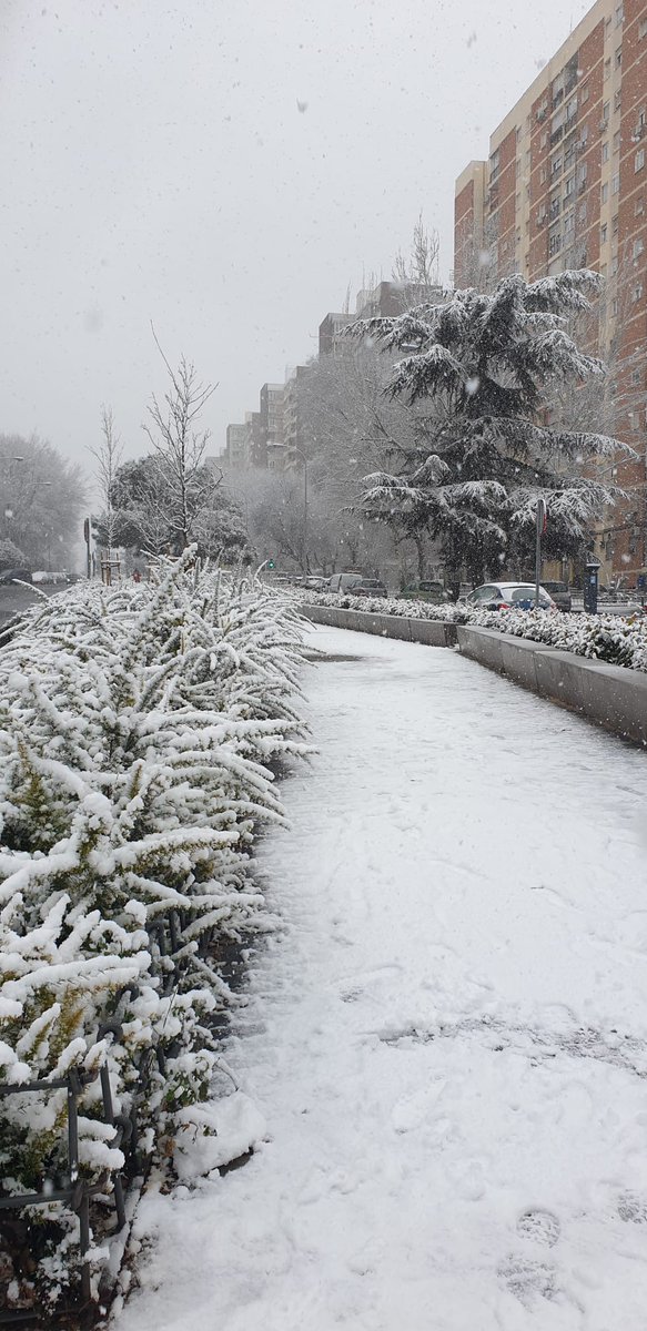 Charly_cos's tweet photo. Primer día de nieve en la ciudad de Madrid https://t.co/vbiQ4tQ28r