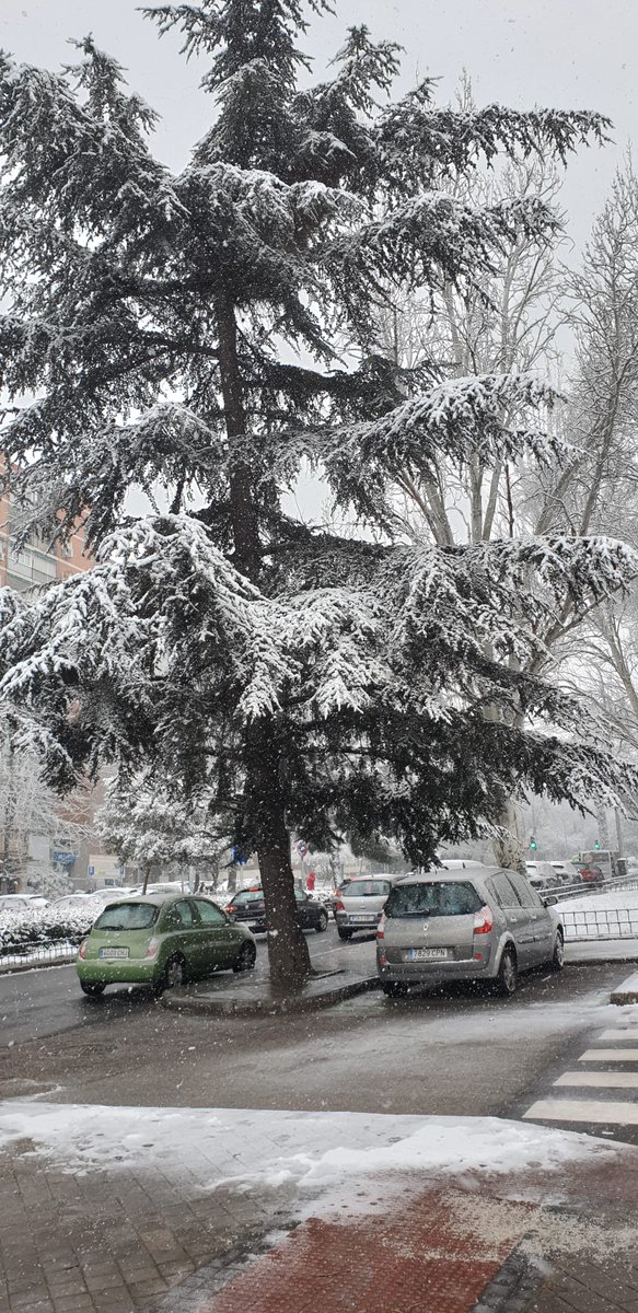 Charly_cos's tweet photo. Primer día de nieve en la ciudad de Madrid https://t.co/vbiQ4tQ28r