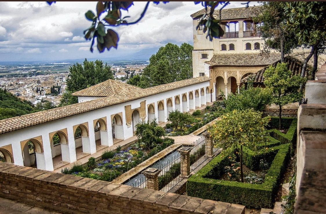 رفــيـــف الوجد🕊 tweet media