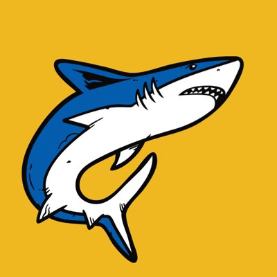 Brighton Sharks 🦈 tweet media