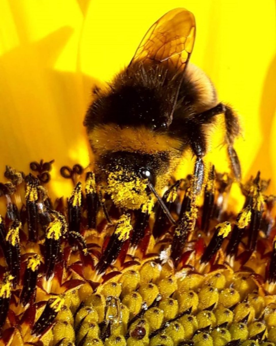 Throwback to our EMEA Summer Photo Challenge! Shout out to our overall winner Netti! How are you staying creative in your spare time (or at work) during the winter months? #lifeatlionbridge #tbt