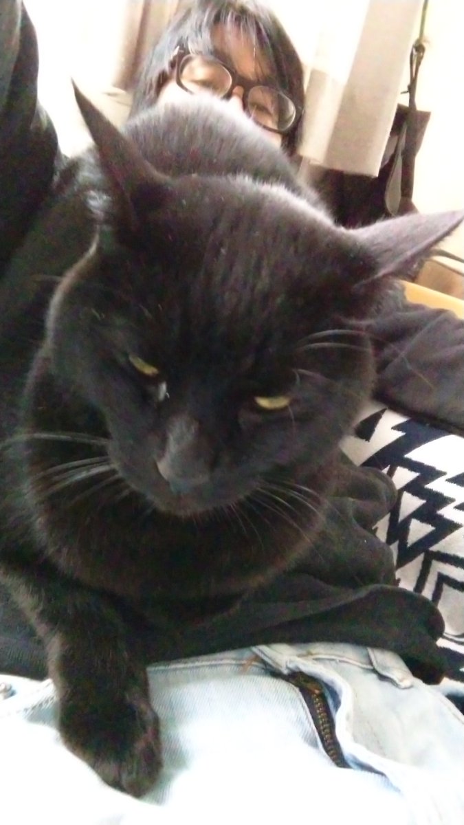 みっちー tweet media