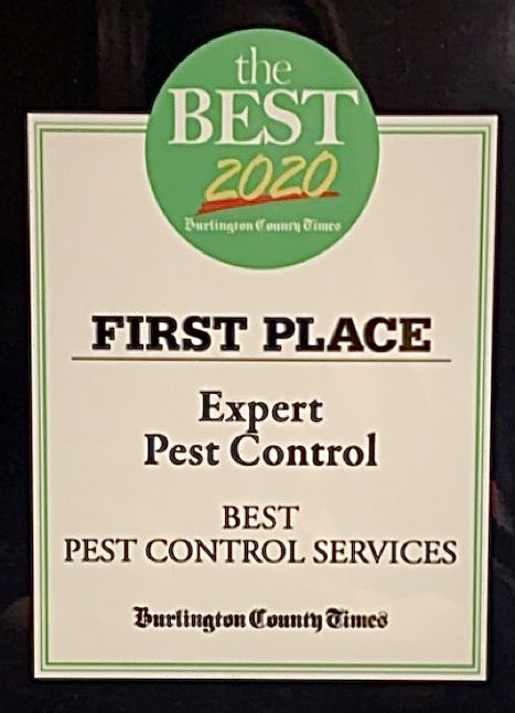 ExpertPestCtrl's tweet photo. #throwbackthursday to when we won Best of Burlington 2020! 15 years on a row!  #bestofburlington #tbt https://t.co/ZfUrxtfUBE