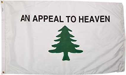 Thanks  @piombo for allerting me to this... the pine tree flag is apparently linked to the Northwest Territorial Imperative, a 1970s-80s US white separatist idea popularised by white nationalists, supremacists, separatists and neo-Nazi groups within the US.  https://en.wikipedia.org/wiki/Northwest_Territorial_Imperative