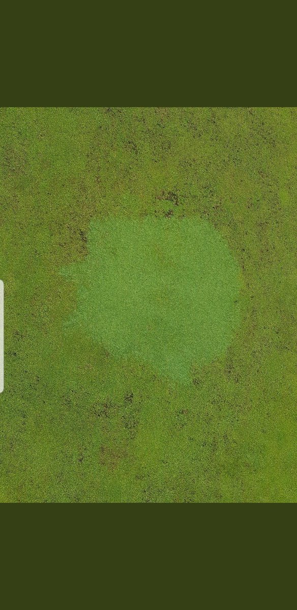 turfcare1's tweet photo. Creeping Bent showing its disease tolerance here!
@T2GTurfGuy @T2GBentgrass
#pureselect
#crystalbluelinks
#puredistinction
#5thgeneration https://t.co/wb4mvtwq0P