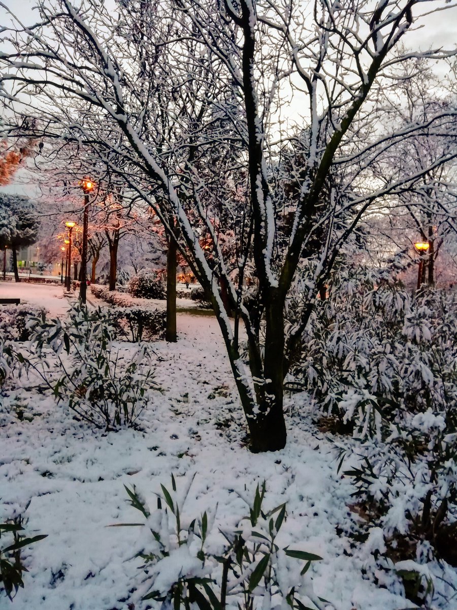 noeggaa's tweet photo. De paseo por #Alcorcon para ver la nieve con @AlLorient Por el parque Alfredo Nobel y el Ensanche Sur
@EnsancheSur @alcorconcultura @AytoAlcorcon https://t.co/1rYEPTDRZa