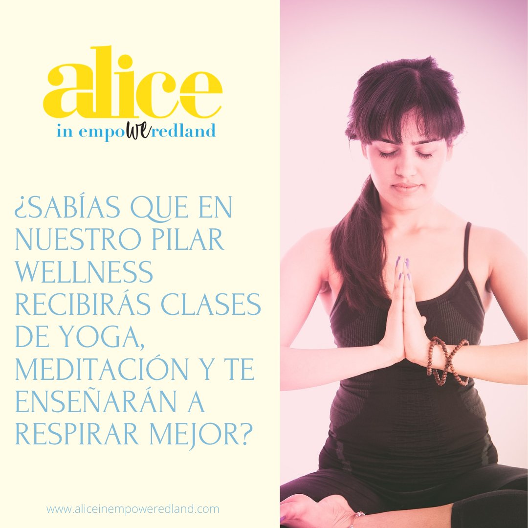 aliceinpower tweet picture