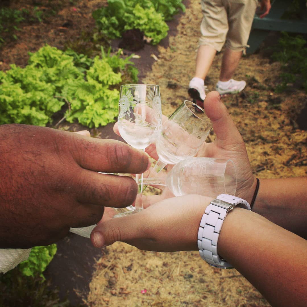 We poured our limoncello into these glasses so that our family can try Fabrizia for the very first time. That was over 10 years. Looking back, it's been a crazy journey that you've helped shape. Here's to the next 10. Salute!#throwbackthursday 

#limoncello