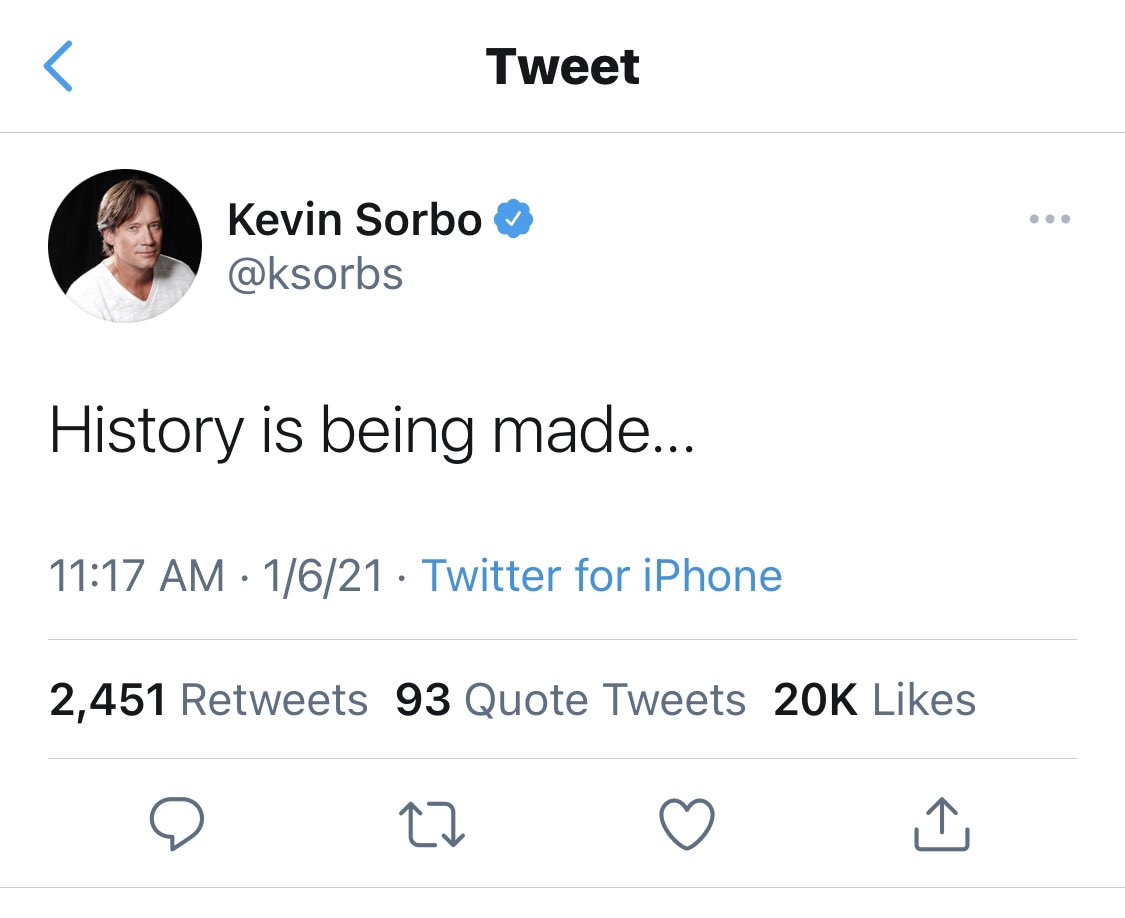 DavidAGoodman's tweet image. Kevin Sorbo’s one-man show about what yesterday was like for Trump supporters, in four tweets.