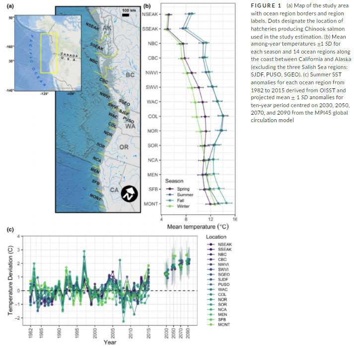 Different stocks of fall-run #Chinook #salmon vary in their ocean distributions and associated sea surface temps

Climate change may shift these distributions and impact #fisheries resources

#fishsci <a href="/genoa_sully/">Genoa Sullaway</a> @ericward_ @JordanTWatson1 @satterwill 
doi.org/10.1111/faf.12…