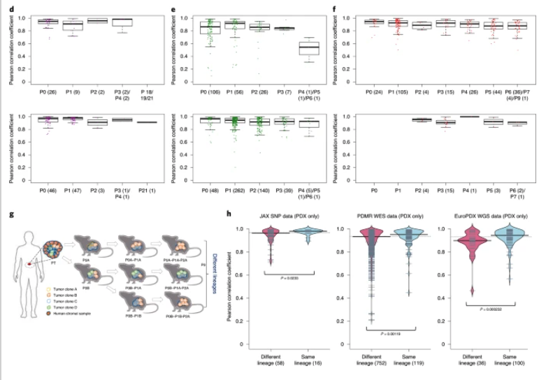 NatureGenet's tweet photo. Conservation of copy number profiles during engraftment and passaging of patient-derived cancer xenografts (Woo et al.) https://t.co/PDSoXPlc0U https://t.co/xVB6GR3zR2