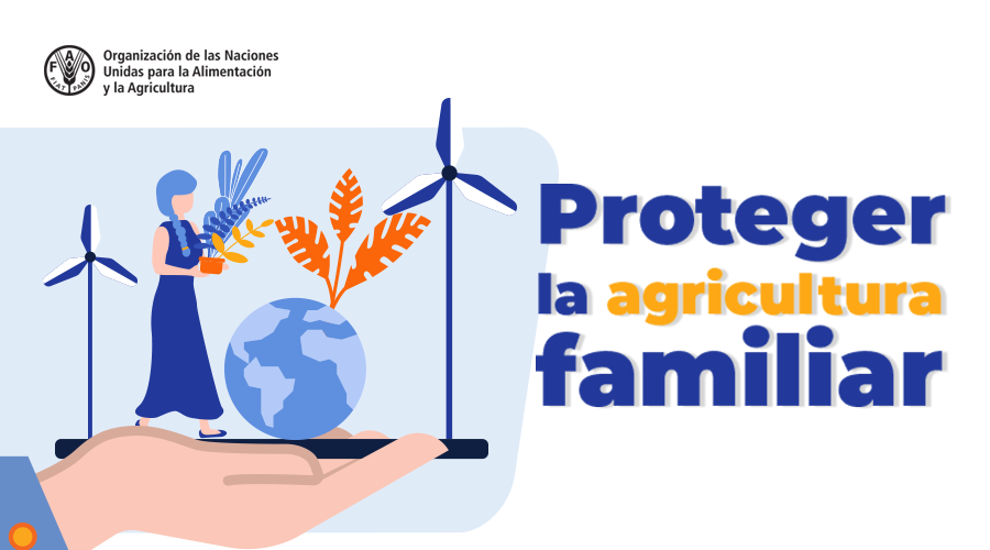 FAO_Venezuela tweet picture