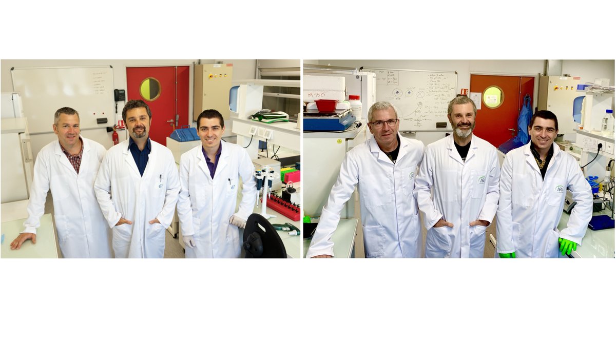 Bonazzi Lab tweet media