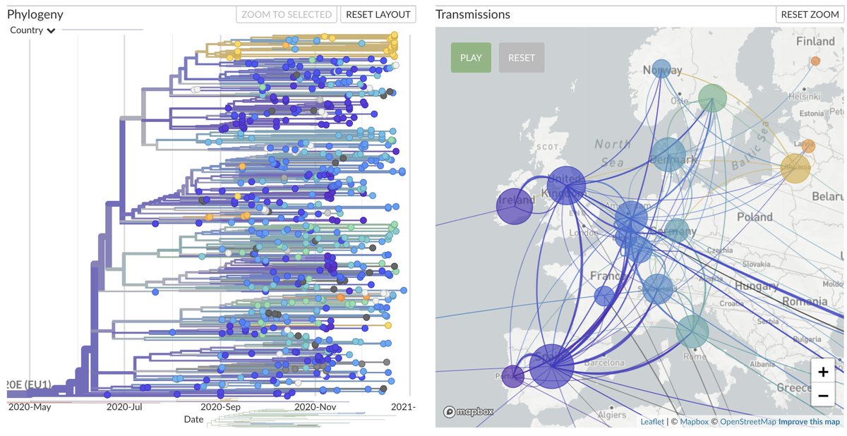 nextstrain's tweet photo. For the past ~12 months we've defaulted to coloring Nextstrain trees based on geography to highlight genomic tracking of spread of SARS-CoV-2 throughout the world. With one recent example being the spread of EU1 lineage throughout Europe. 1/3 https://t.co/80FScHFlJO