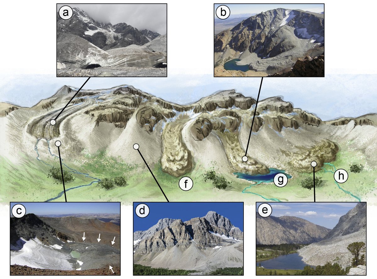 So, that’s all exciting. But it gets better.. it’s not just rock glaciers (b) that provide key habitat to cold-adapted species! Other “cold rocky landforms” are also key, mainly (a) debris-covered glaciers, (c) moraines, (d) taluses, and (e) protalus ramparts. See below.7/n