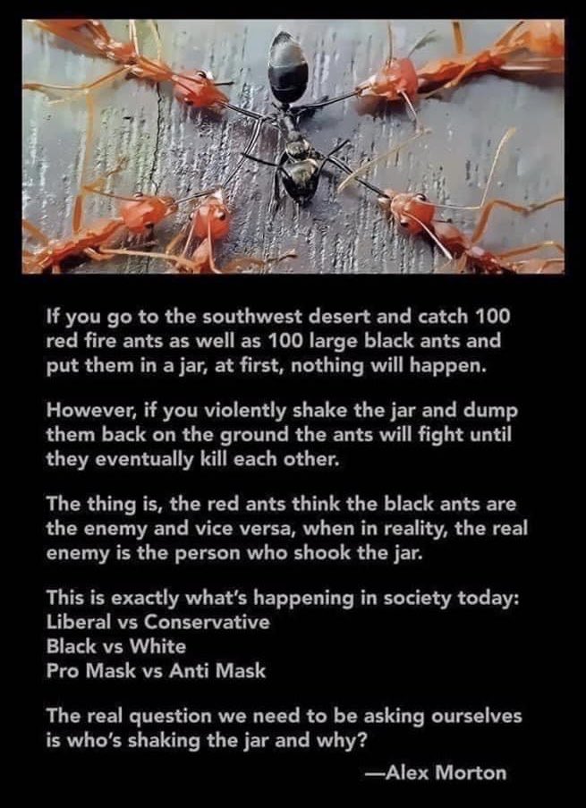 Janice Harrison tweet media