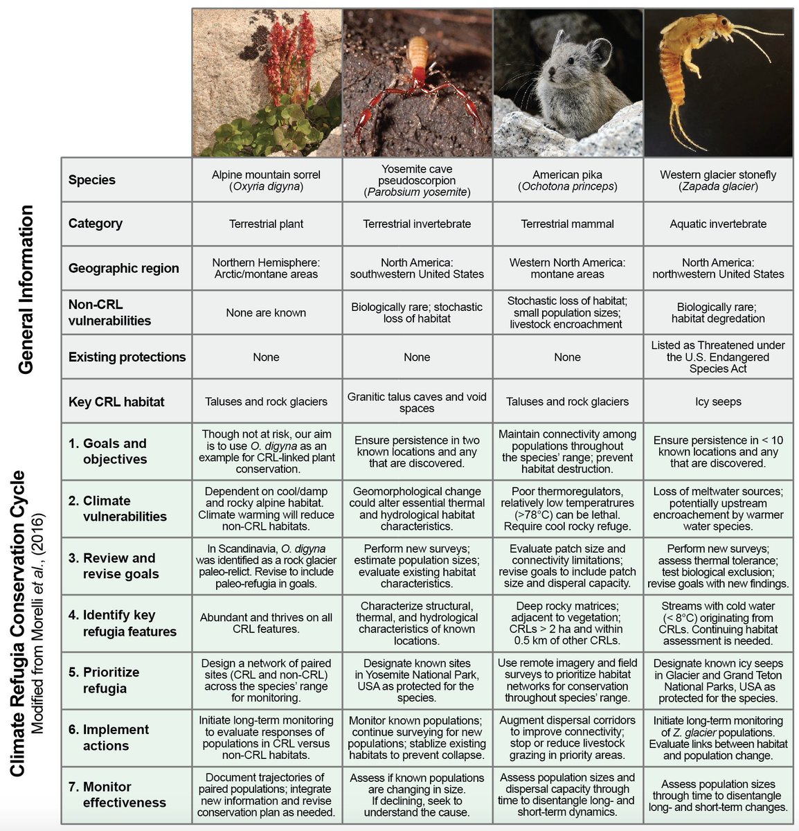 In the short-term, we think there is huge opportunity to integrate rock glaciers and related landforms into climate refugia/management research. We lay out some practical ideas for a range of species:9/n