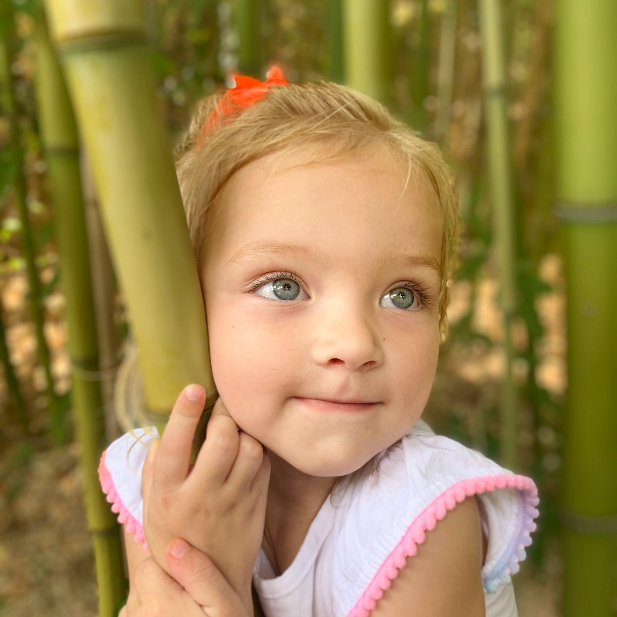 Please remember to download the OnMyWay app to prevent distracted driving. I've used it for about a year now since Allie passed. Rewards can be earned through hands-free driving but the real reward is saving lives. Help us fight distracted driving. 📵
onmyway.com