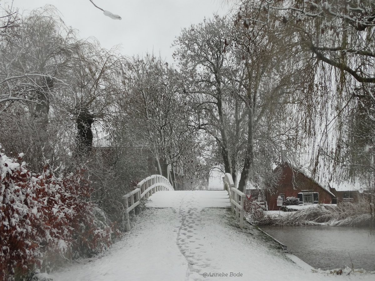 Oudalblasserw's tweet photo. Gelukkig hebben we de foto's nog! #sneeuw #landschap #winter #Alblasserwaard #Pinkeveersebrug #Giessenburg #dec2017 https://t.co/QsS9XK2KDB