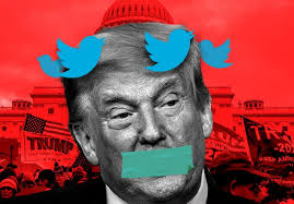 elaine_peake's tweet image. @Twitter @TwitterGov @TwitterSafety @TwitterVideo continue to impose your toughest restrictions on #DonaldTrump beyond the end of his term.Make #twitterbantrump for his lifetime 'cuz even @MaryLTrump says her uncle won't change. #IncitingARiot=clear + present danger to #democracy