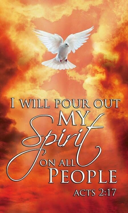 Sylvia Webster (@riverofhealing) on Twitter photo 