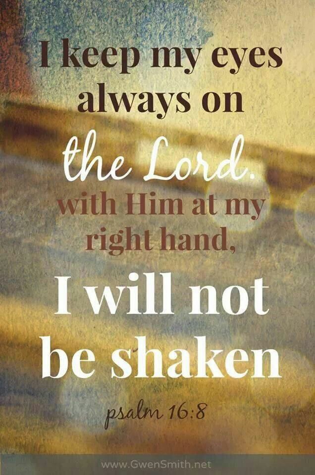 Sylvia Webster (@riverofhealing) on Twitter photo 