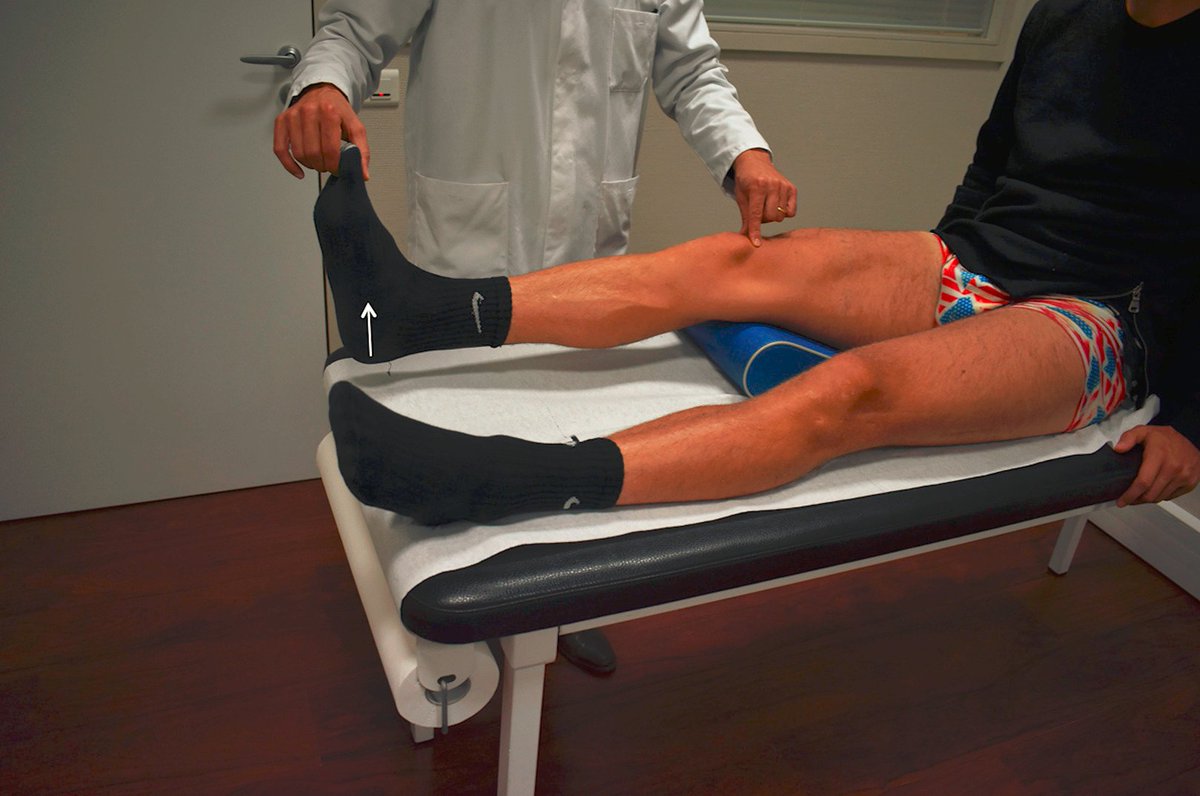 Physio Meets Science on Twitter "How to Rapidly Abolish Knee Extension