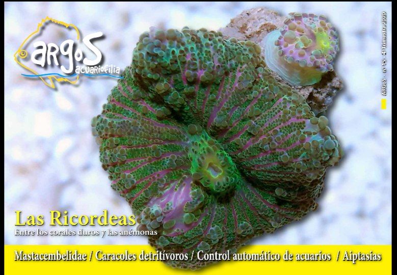 AquaticNotes's tweet image. ¡Número 15 de la revista ArGoS ya disponible en Aquaticnotes!

Descárgatelo gratis en el siguiente enlace:
aquaticnotes.com/2016/es/2020/1…