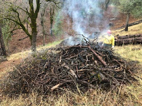 ShastaTrinityNF's tweet photo. Before and after photos of a burn pile, part of the Bear Mountain #PrescribedFire project near Silverthorne on #ShastaLake taken by Fire Prevention Tech A. Saltzman #GoodFire #ActiveForestManagement https://t.co/1qzZYajPYh https://t.co/fxIE7VaDqd