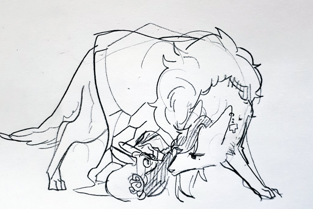 좋은피자 tweet media