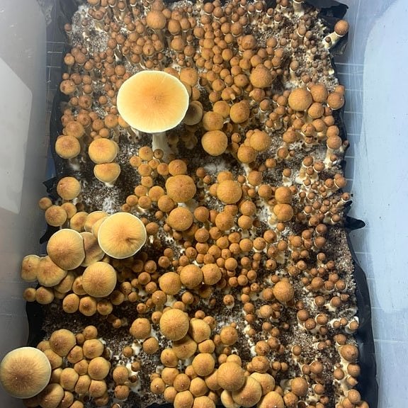 HighforN's tweet image. Waking up to views like this never gets old