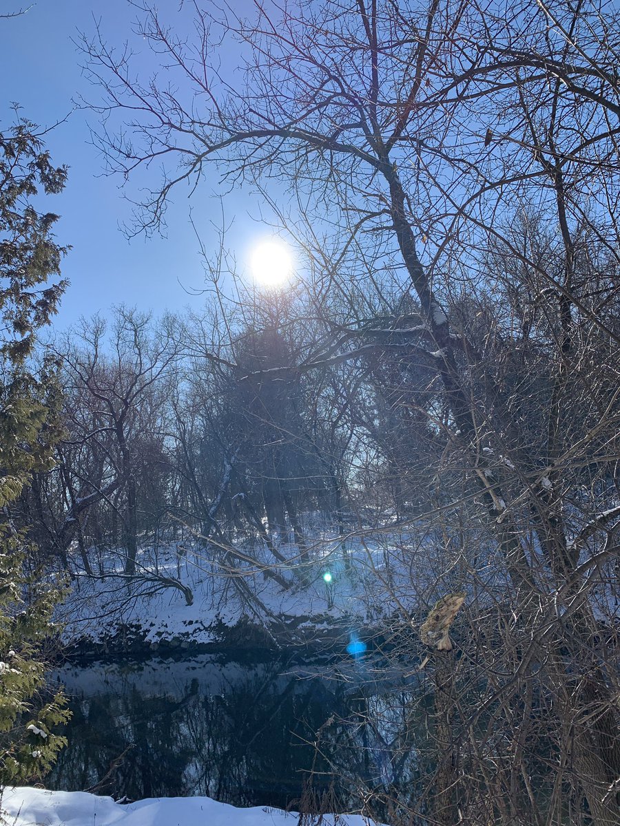 SenecaForest's tweet photo. Hello SUNSHINE 💜 https://t.co/RaAGB2eGO4