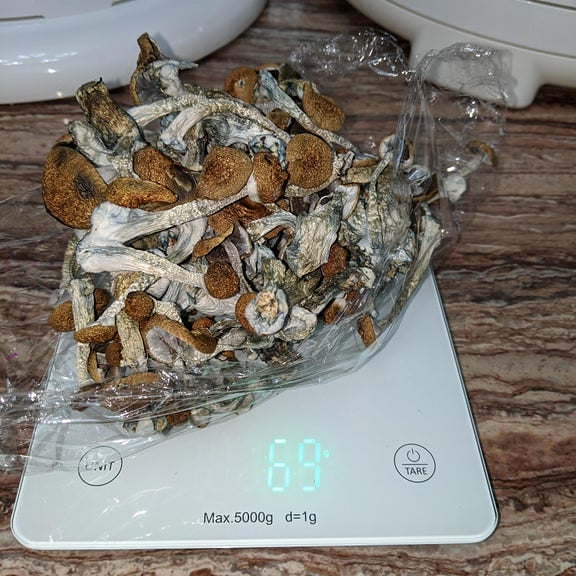 HighforN's tweet image. Who wants to meet me in Jupiter?