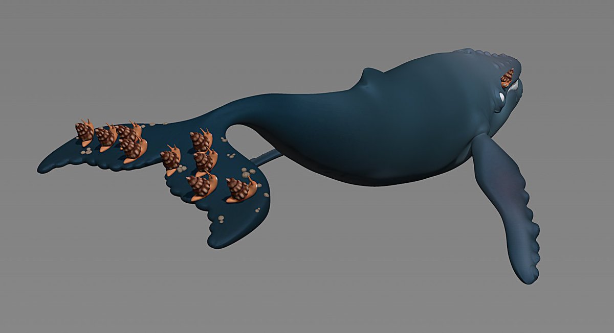 Monkeesblood's tweet photo. #TheSnailAndTheWhale - Love this animated short by
#MagicLightPictures - Our Fan Art created in #zBrush.
#LiftWantedAroundTheWorld #Figurines #DigitalSculpture #Sculpture #ArtToys #KidsBooks #ChildrensBooks #JuliaDonaldson #AxelScheffler https://t.co/5MhNXmJcSR