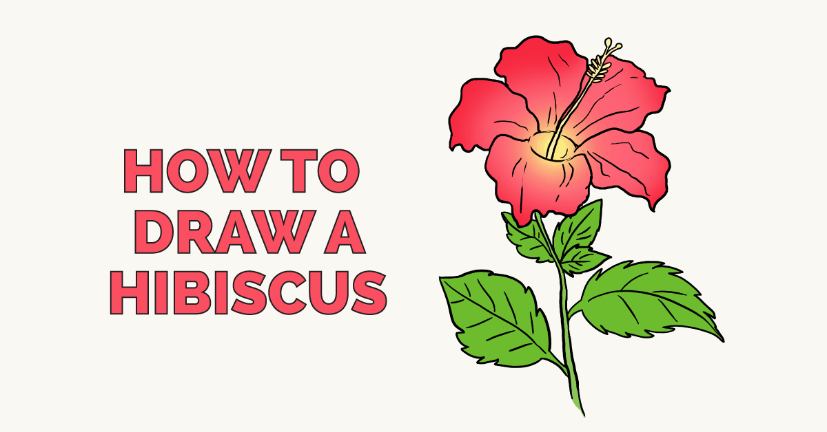 How To Draw A Hawaiian Flower Step By Step For Kids