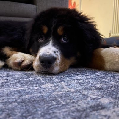 Marie Miller 💙 tweet media