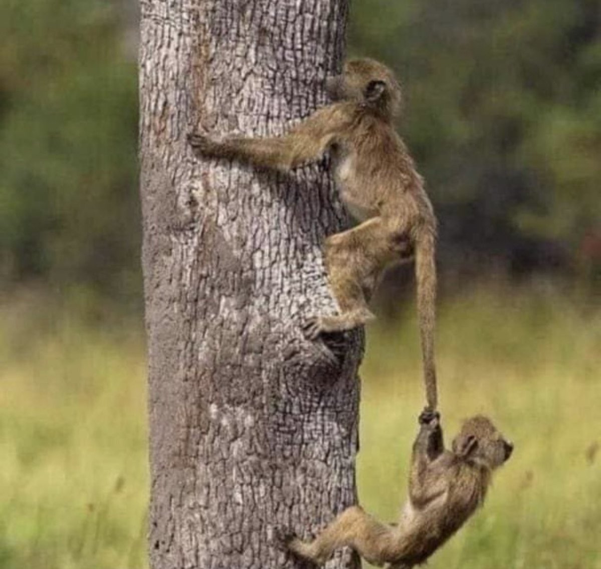 adamsrahmon's tweet photo. While You’re Struggling To Attain A Goal, Some Are Even Attached To You For Their Libration. If You Fail, They Fail 🤦🏼 Be Focused 💯Your Determination &amp; Zeal Will Lead To Good Result .. And Hey, If You Feel Like Giving Up, Think Of Those Who Will Sink With You 😎 #HNY2021 https://t.co/sinvS08bBW