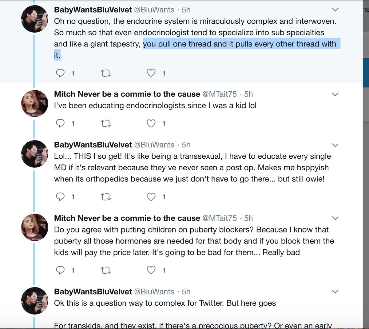 "you pull one thread and it pulls every other thread with it."  https://web.archive.org/web/20200527010631if_/https://twitter.com/BluWants/status/1265375927153934337