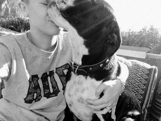 MileyNation13's tweet photo. Mary Jane has sadly passed away. 

rest in peace angel 🤍 https://t.co/ha78uTSVtG