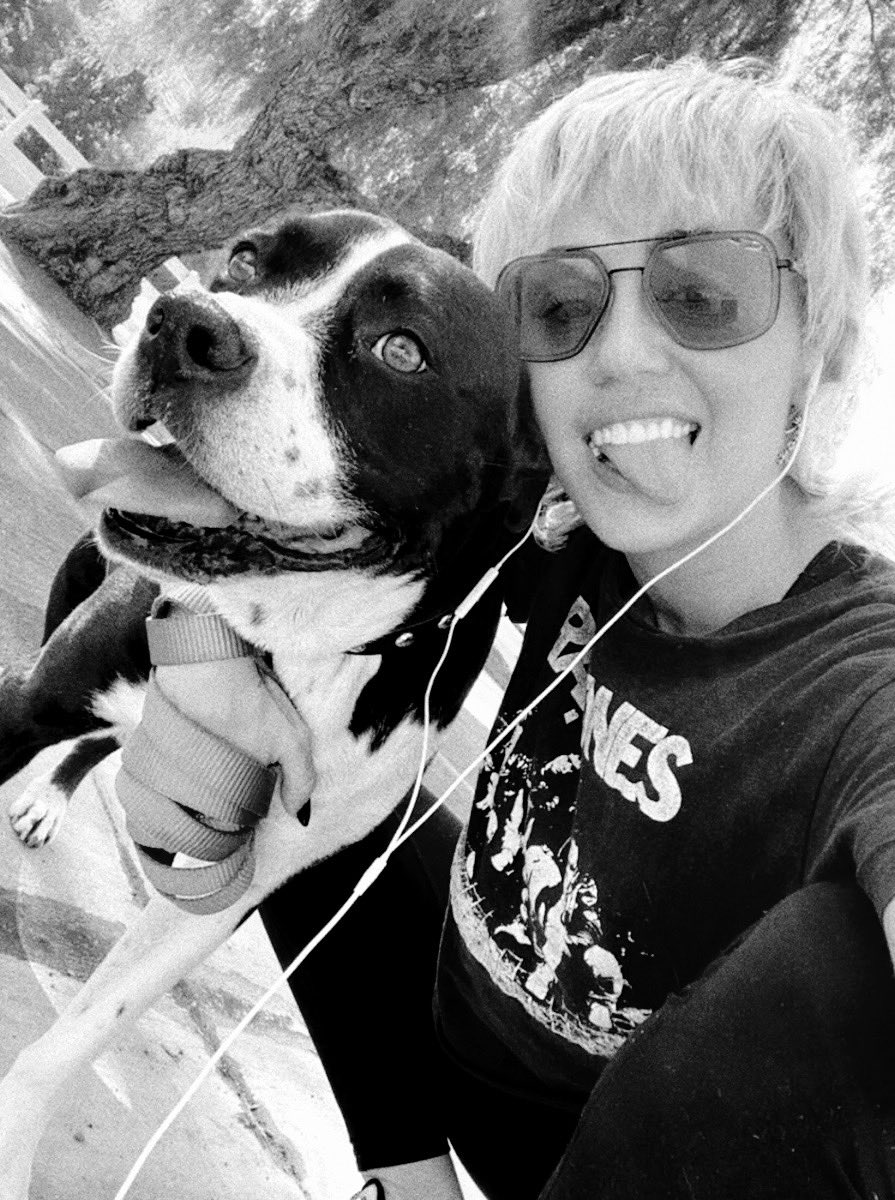 MileyNation13's tweet photo. Mary Jane has sadly passed away. 

rest in peace angel 🤍 https://t.co/ha78uTSVtG