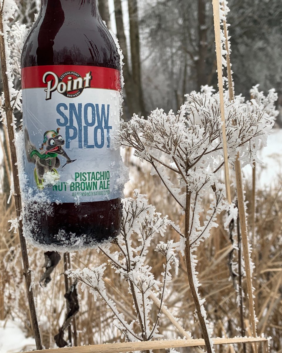pointbrewery's tweet photo. Enjoy the frost this winter with Snow Pilot! This delicious Pistachio Nut Brown Ale pairs perfectly with the cold outdoors. #pointbeer #snowpilot #nutbrownale https://t.co/eWqfSuNdbV
