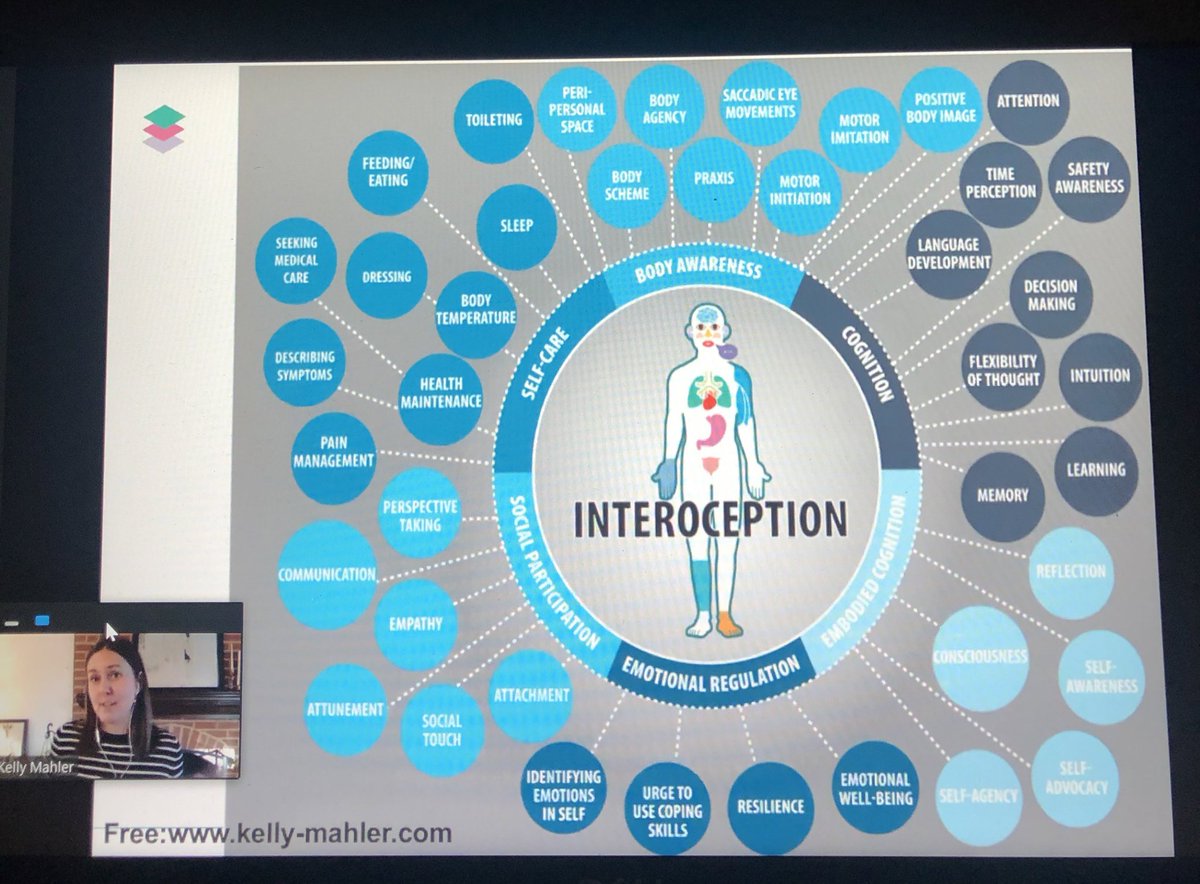 Fantastic <a href="/RCOT_CYPF/">RCOT CYPF</a> organised webinar sharing the power of  Interoception. 
What a fantastic infographic FREE from <a href="/kmahlerkmahler/">Kelly Mahler</a> website Kelly-mahler.com to share what Interoception impacts - LOTS! 

#cypf #interoception <a href="/theRCOT/">Royal College of Occupational Therapists</a> #OccupationalTherapy #mentalhealth