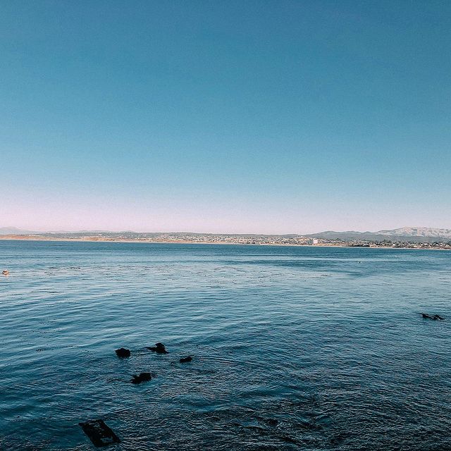 Embrace the natural beauty of Monterey. 
📸 : @theehikeclub 
•
•
•
#MontereyPlazaHotel #Monterey #California #MontereyBay #DistinctlyCalifornia #BestCoast #BestInTravel #SeeMonterey #VisitCalifornia #WestCoastTravels #CaliforniaTrip #VisitMonterey