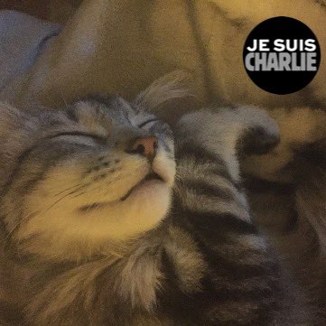 Kenav13's tweet photo. Tous les jours, et toujours. #JeSuisCharlie #JeResteCharlie https://t.co/QnNCrZ8Ltb