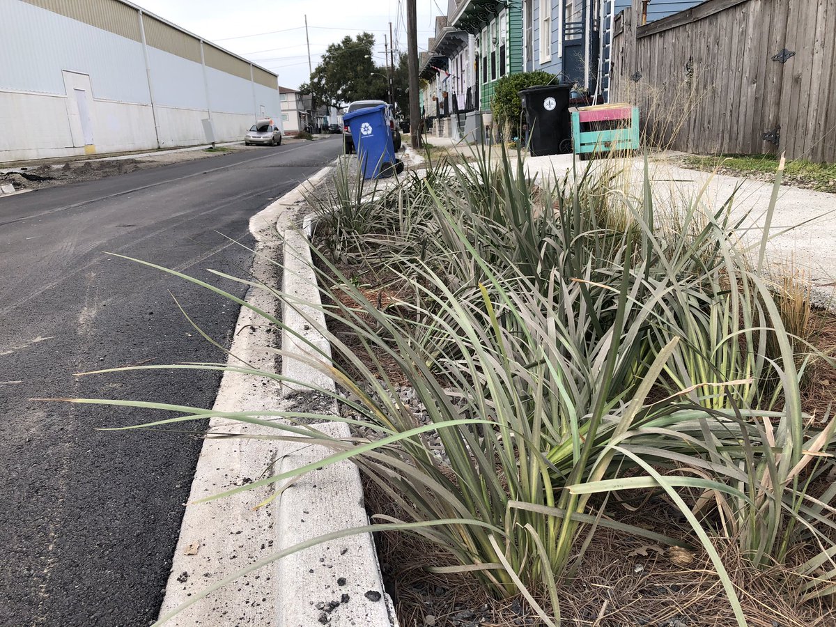 ose_nola's tweet photo. Native vegetation has been planted in rain gardens as one of the final pieces of the #hmgp Hagan-Lafitte Drainage Project. The plants will help absorb water and are an environmentally safe addition to the @cityofnola water control system.
@resilientnola #cityofyes #nolaprogress https://t.co/CRpqCAXxom