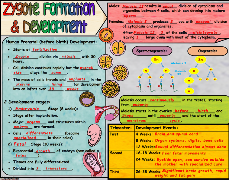 tosh_teacher's tweet photo. Coming soon~ #tpt #science #Scaffoldednotes #DoodleNotes #EducationalResources #Education #Teachingresources #Teachers #Biology #Grade9 #highschool #highschoolscience #juniorscience #generalscience #graphicorganizers https://t.co/Vg8GxDH3Uh