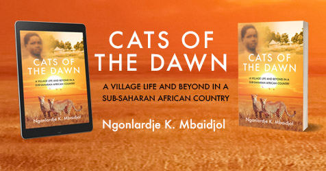 ebookscovered's tweet photo. A village life and beyond in a sub-Saharan African Country. Now availble from FREE on Amazon Unlimited 
https://t.co/QpYS2DBktM #chad #DEBUT https://t.co/YnyGcmf96j