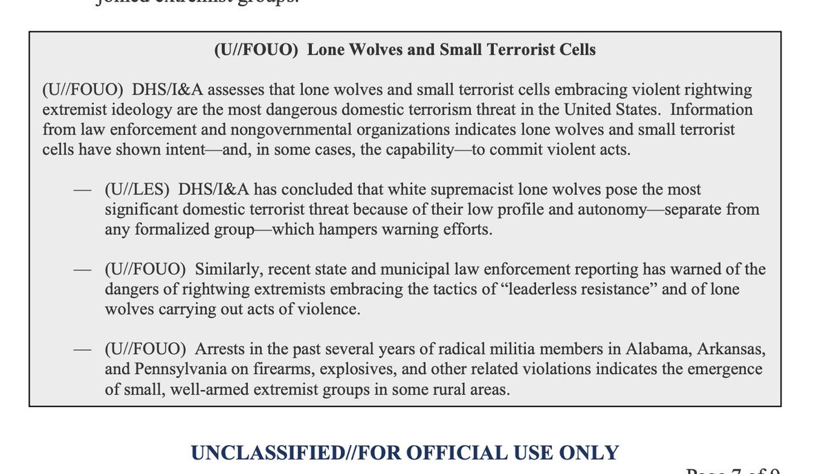 Forever thinking about how in 2009, Republicans got all up in a snit that DHS would dare say that white supremacists are the biggest domestic terror threat and impugn our vets by warning that they were vulnerable to recruitment