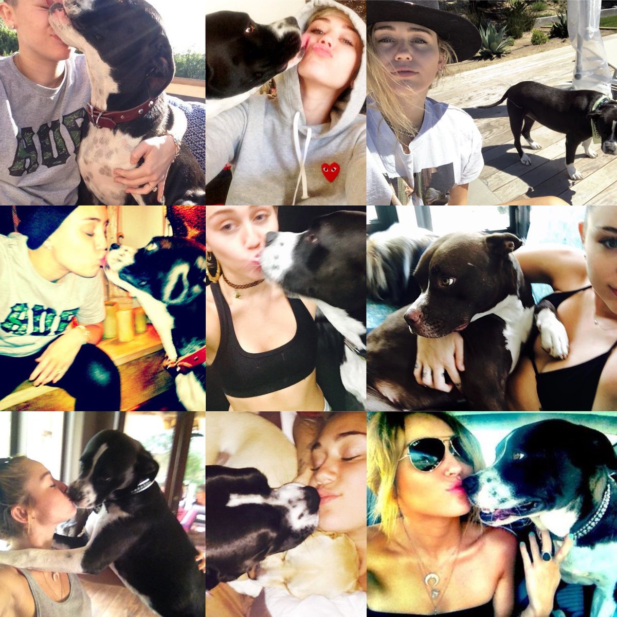 MileyRaySlays's tweet photo. So sad to hear about the passing of Miley’s dog, Mary Jane. She was the sweetest spirit and always showed unconditional love. Thinking of you, @MileyCyrus. Love you always! https://t.co/hNwYVW7yh5
