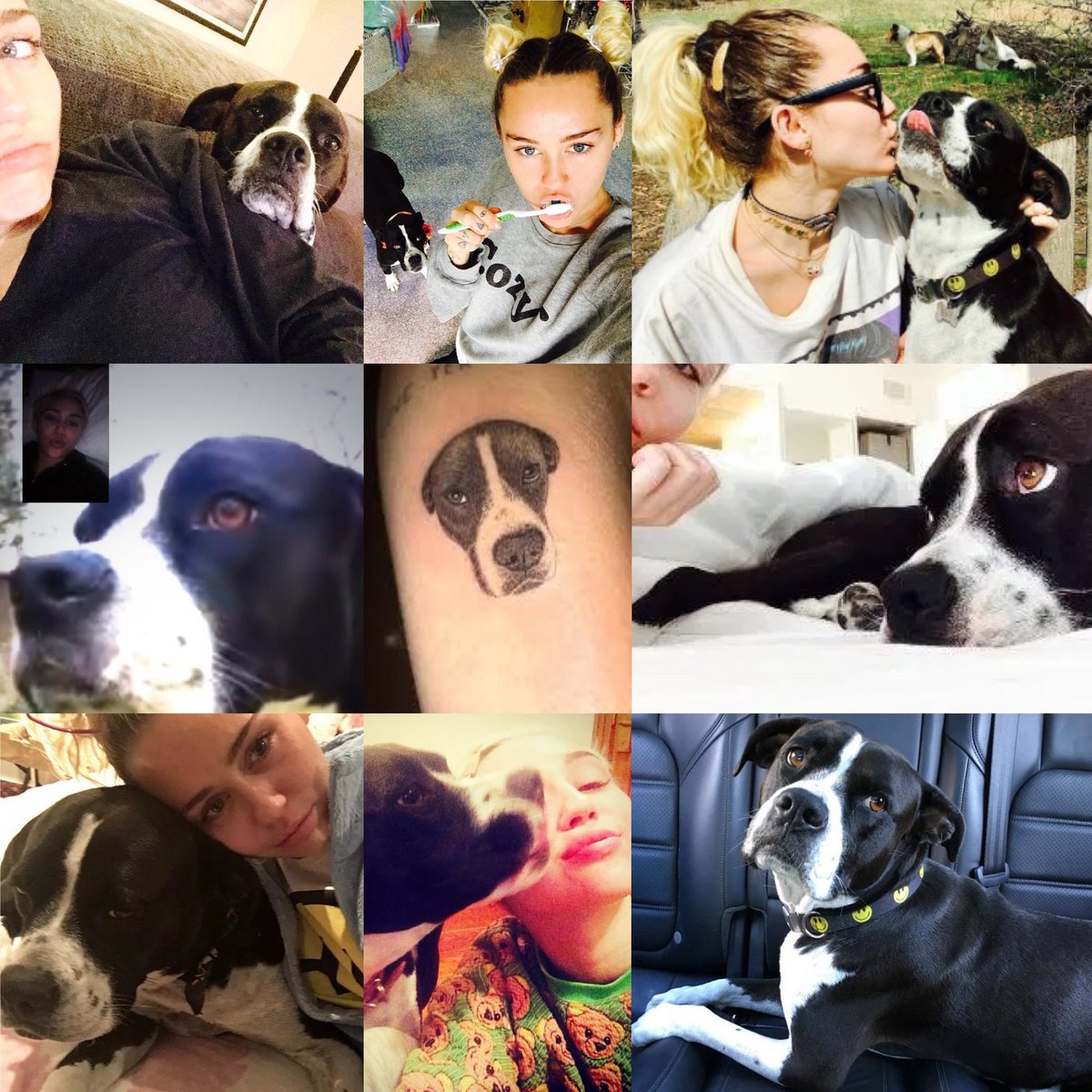 MileyRaySlays's tweet photo. So sad to hear about the passing of Miley’s dog, Mary Jane. She was the sweetest spirit and always showed unconditional love. Thinking of you, @MileyCyrus. Love you always! https://t.co/hNwYVW7yh5